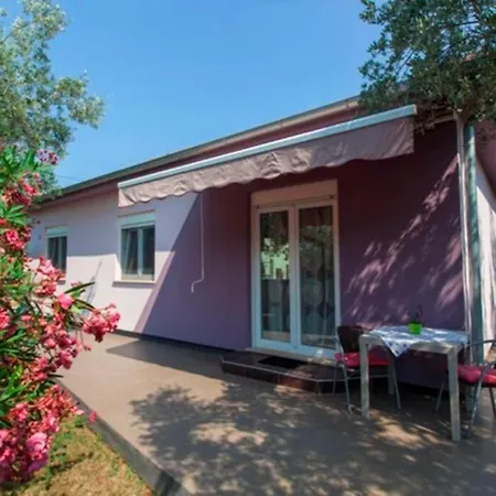 House Pelini * Пула