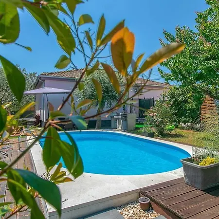 House Pelini بولا